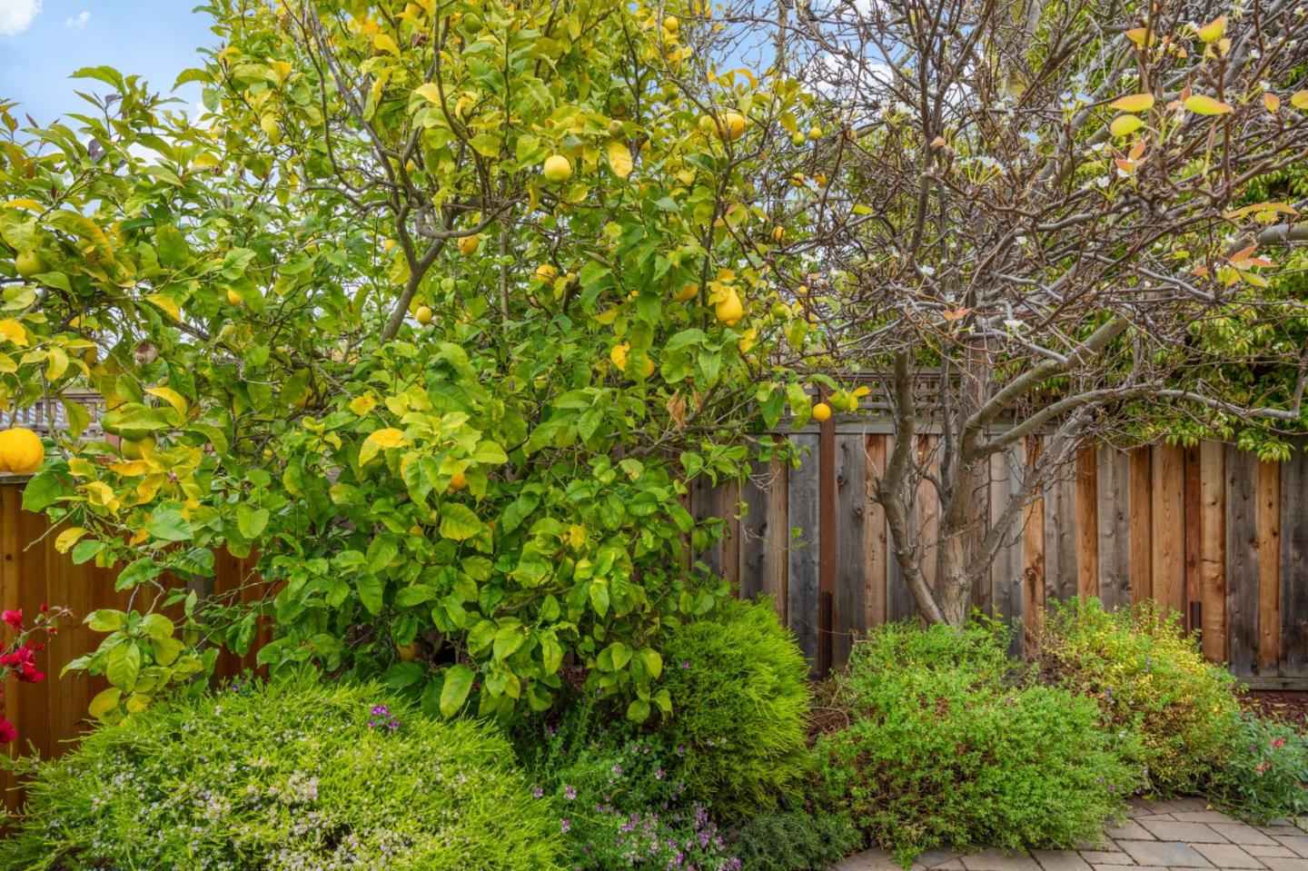 Detail Gallery Image 32 of 58 For 1394 Marlin Ave, Foster City,  CA 94404 - 4 Beds | 2/1 Baths