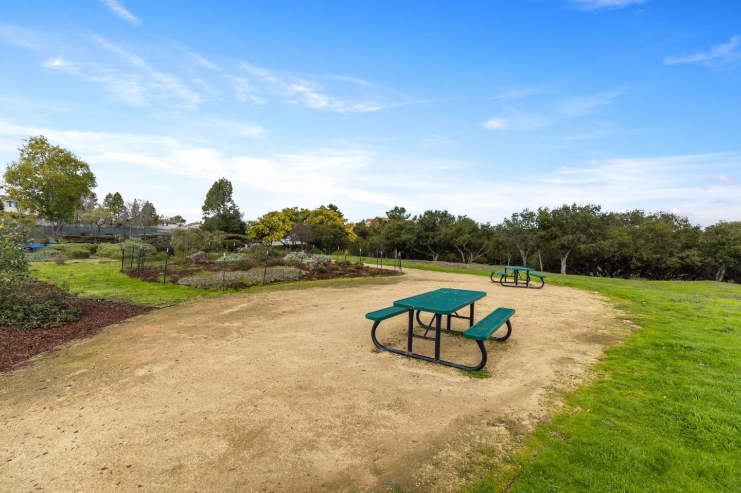 Detail Gallery Image 59 of 61 For 20 Calypso Ln, San Carlos,  CA 94070 - 3 Beds | 2/1 Baths