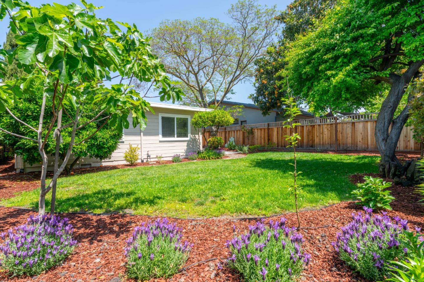 Detail Gallery Image 16 of 24 For 374 Balsam Ave, Sunnyvale,  CA 94085 - 3 Beds | 1 Baths