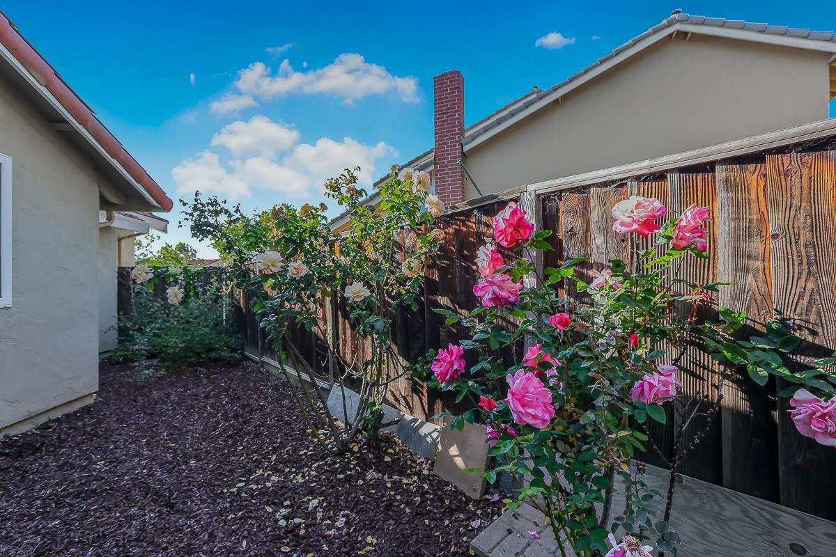 Detail Gallery Image 60 of 80 For 2886 Urzi Ct, San Jose,  CA 95135 - 4 Beds | 2/1 Baths