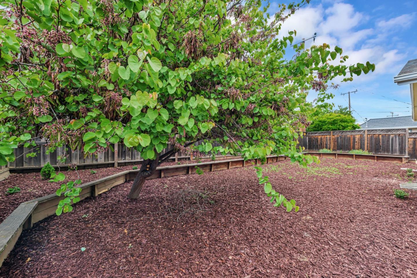 Detail Gallery Image 42 of 45 For 811 Orange Ave, Sunnyvale,  CA 94087 - 3 Beds | 2 Baths