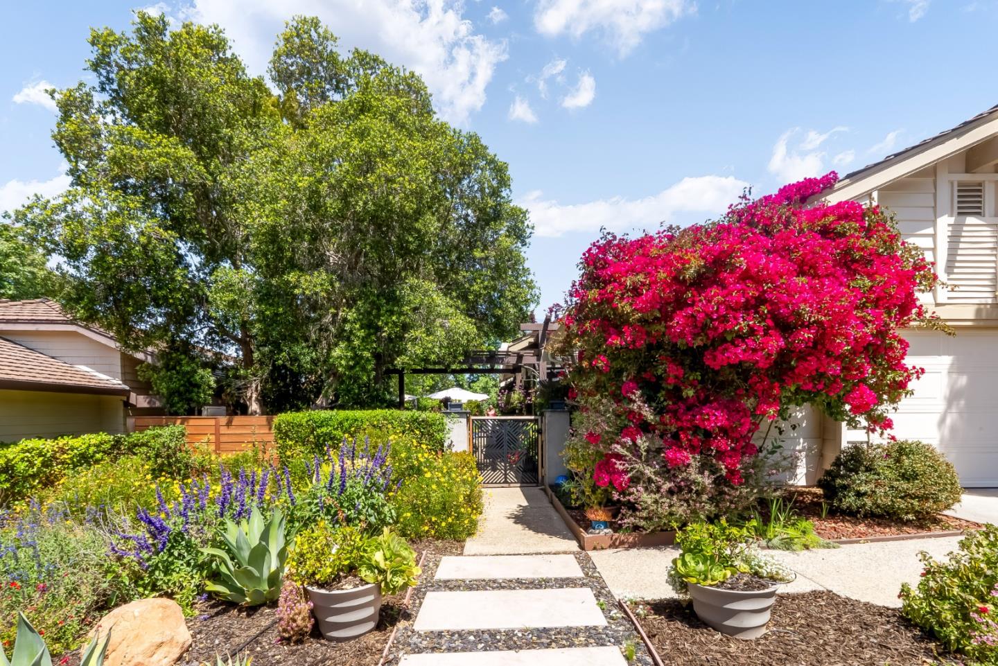 Detail Gallery Image 2 of 47 For 7133 via Solana, San Jose,  CA 95135 - 3 Beds | 2 Baths