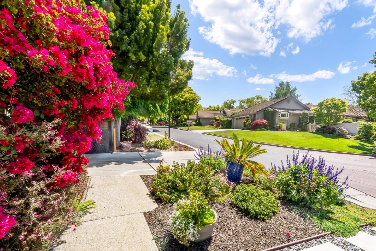 Detail Gallery Image 3 of 47 For 7133 via Solana, San Jose,  CA 95135 - 3 Beds | 2 Baths