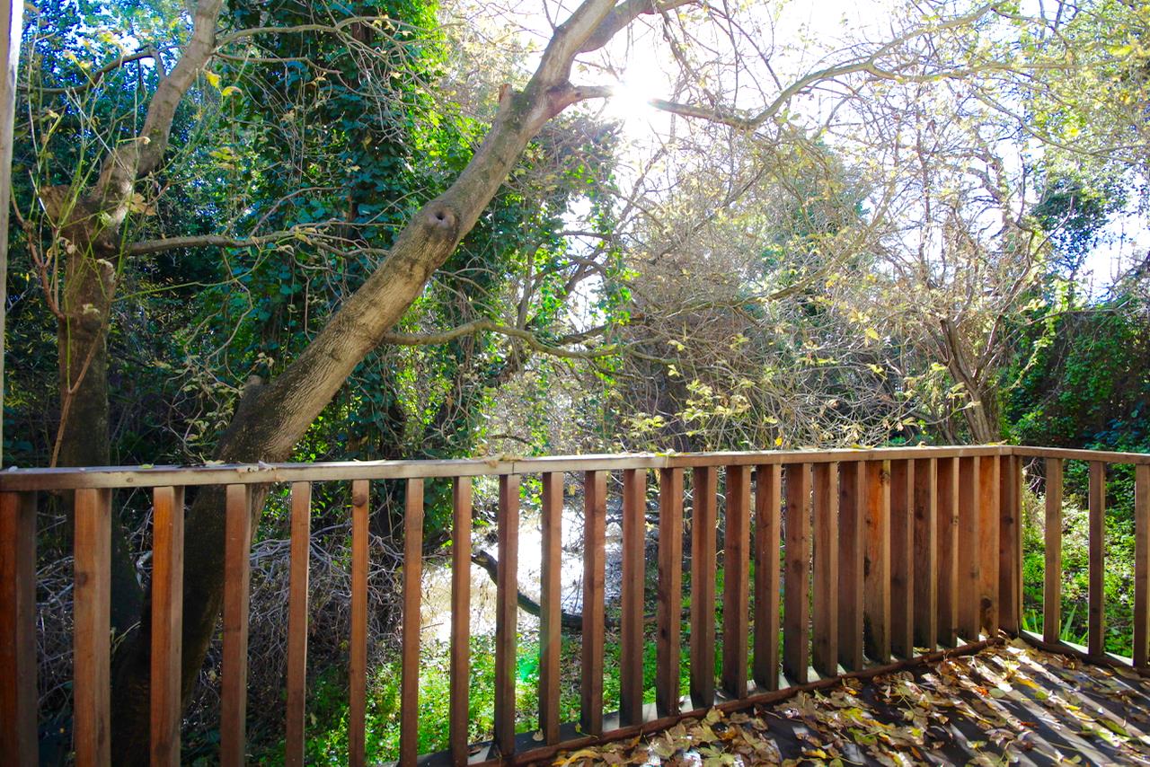 Detail Gallery Image 58 of 61 For 19 S Delaware St, San Mateo,  CA 94401 - – Beds | – Baths