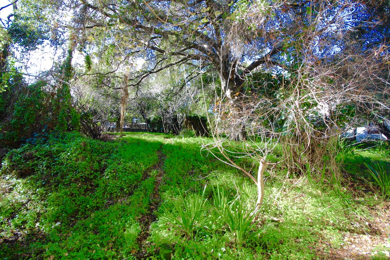 Detail Gallery Image 60 of 61 For 19 S Delaware St, San Mateo,  CA 94401 - – Beds | – Baths