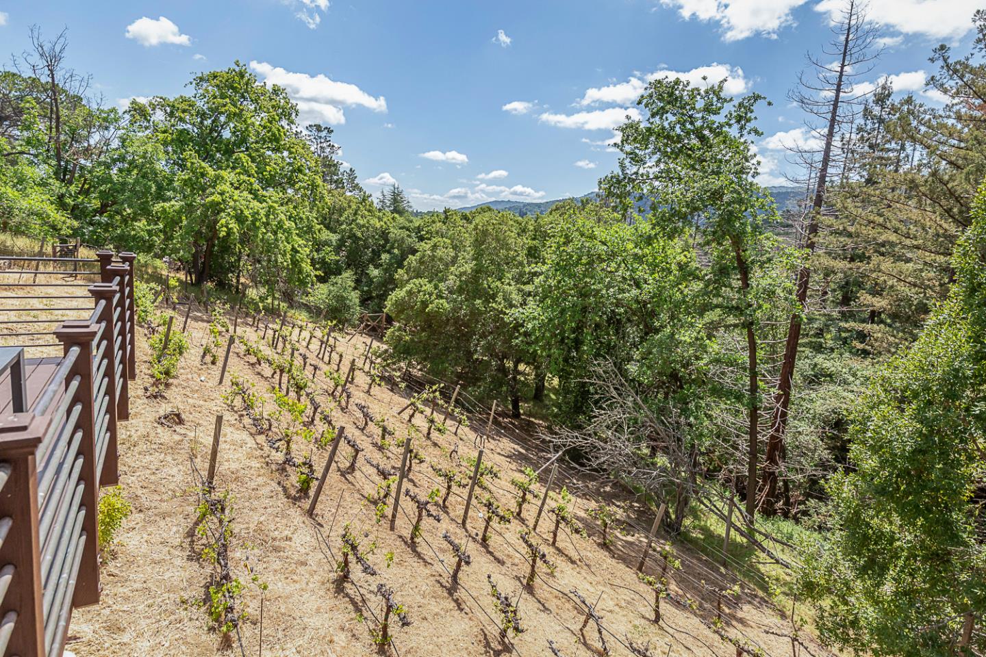 Detail Gallery Image 29 of 42 For 26350 Taaffe Rd, Los Altos Hills,  CA 94022 - 4 Beds | 2/1 Baths
