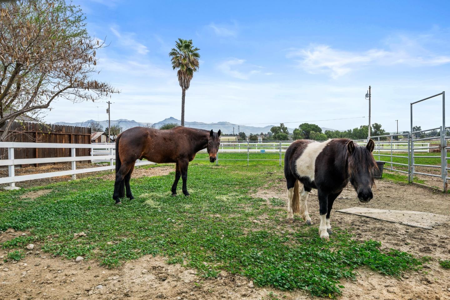 Detail Gallery Image 64 of 64 For 1655 Santa Ana Rd, Hollister,  CA 95023 - 3 Beds | 2/1 Baths