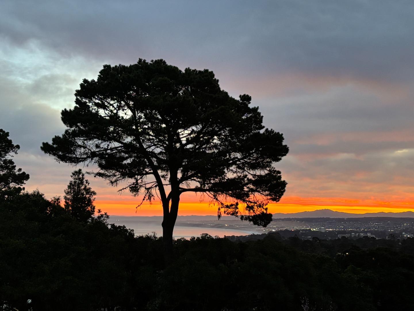 Detail Gallery Image 1 of 36 For 1105 Golden Oaks Ln, Monterey,  CA 93940 - 2 Beds | 2 Baths