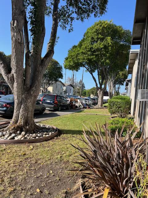 Detail Gallery Image 12 of 12 For 2341 William Dr, Santa Clara,  CA 95050 - – Beds | – Baths