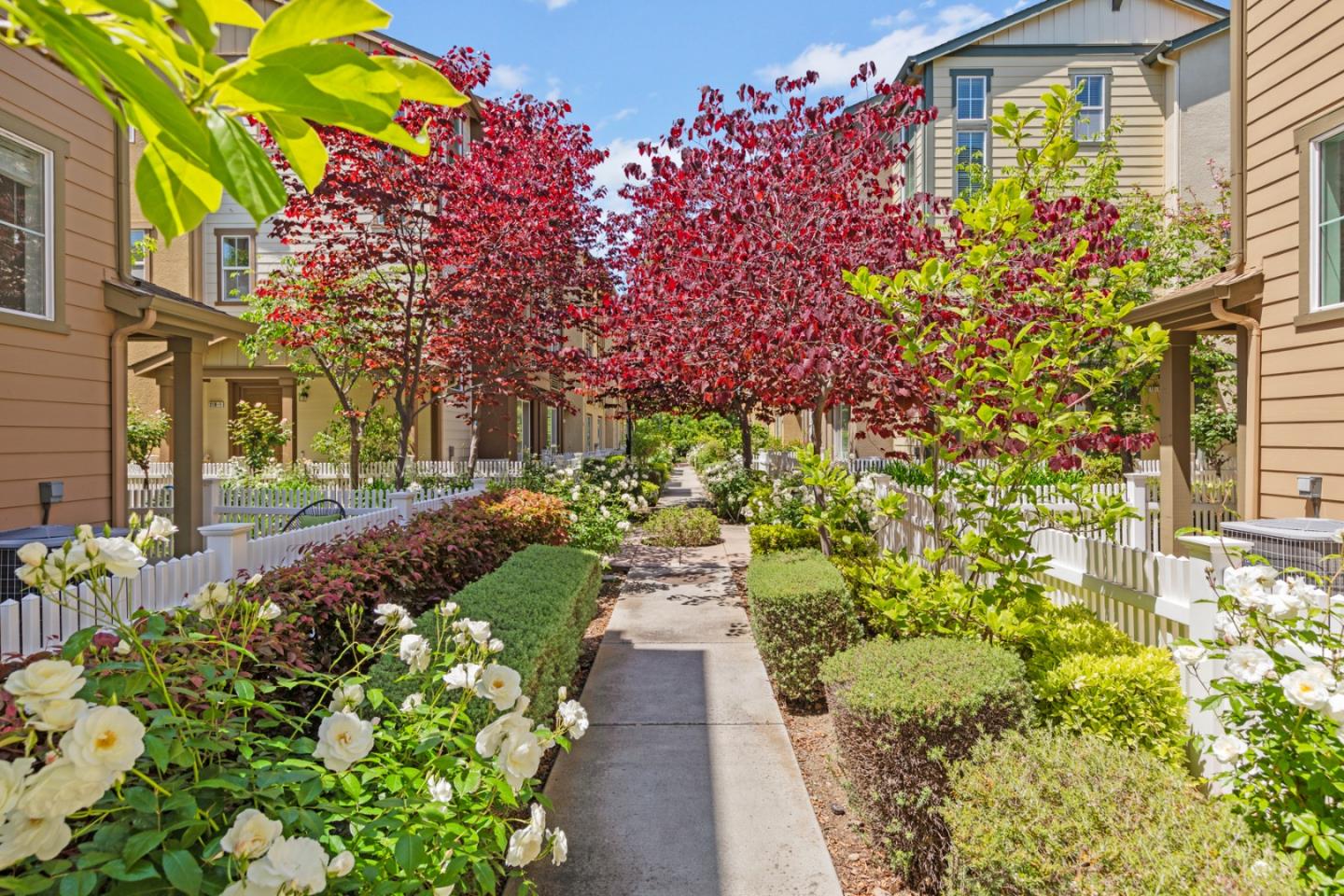 Detail Gallery Image 51 of 54 For 218 Peppermint Tree Ter #1,  Sunnyvale,  CA 94086 - 3 Beds | 2/2 Baths