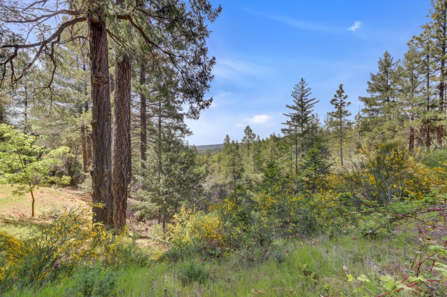 Detail Gallery Image 32 of 40 For 17188 Lawton Way #2,  Grass Valley,  CA 95945 - 3 Beds | 2 Baths