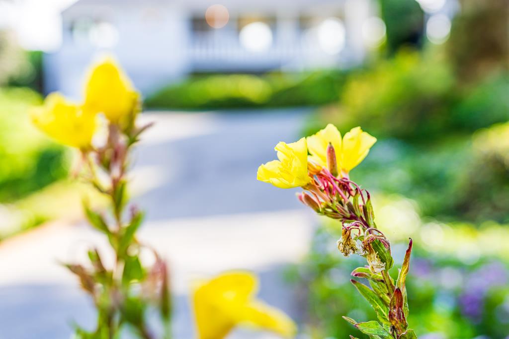 Detail Gallery Image 47 of 55 For 313 Vista Dr, Watsonville,  CA 95076 - 1 Beds | 1 Baths