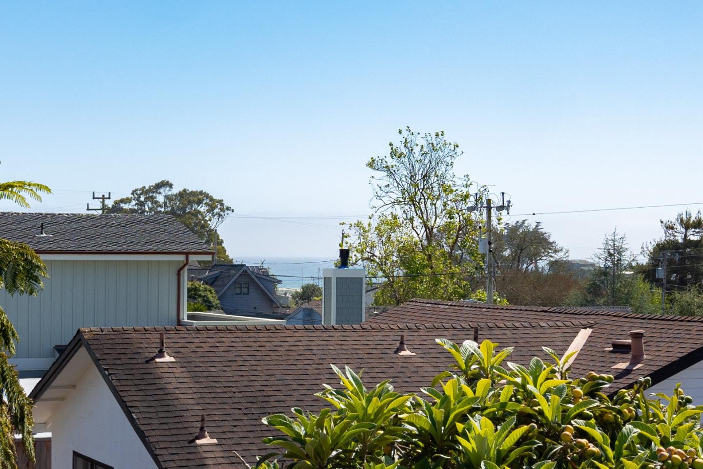 Detail Gallery Image 16 of 36 For 461 6th Ave, Santa Cruz,  CA 95062 - 3 Beds | 2 Baths