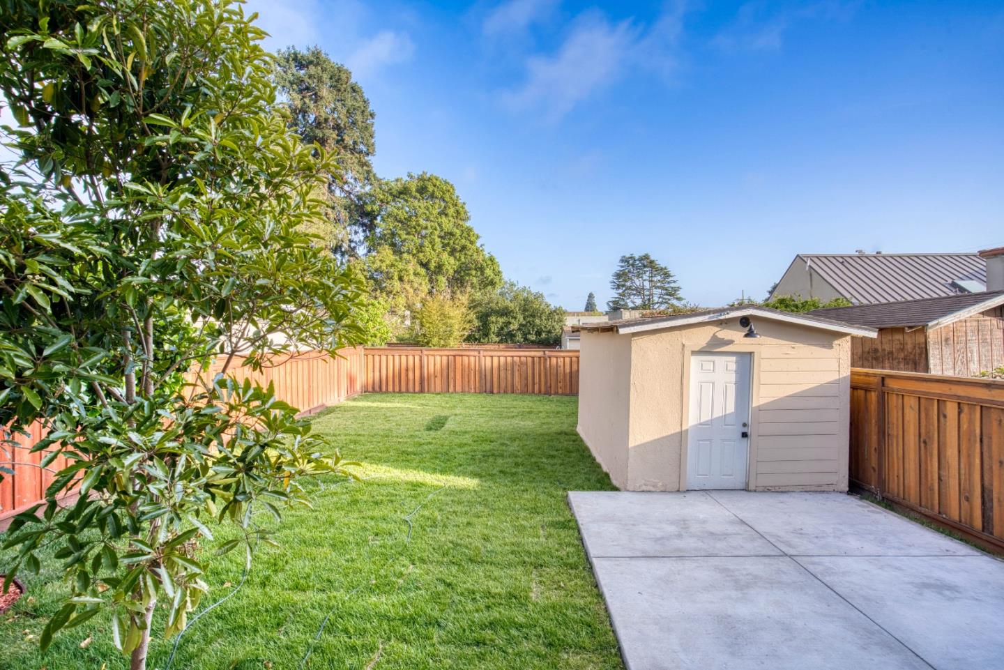 Detail Gallery Image 67 of 68 For 1354 Marin Ave, Albany,  CA 94706 - 4 Beds | 2 Baths