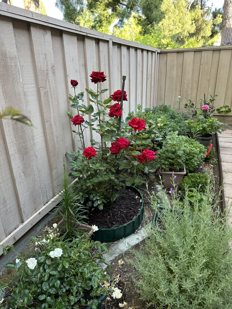 Detail Gallery Image 21 of 24 For 2755 Country Dr #140,  Fremont,  CA 94536 - 2 Beds | 1/1 Baths