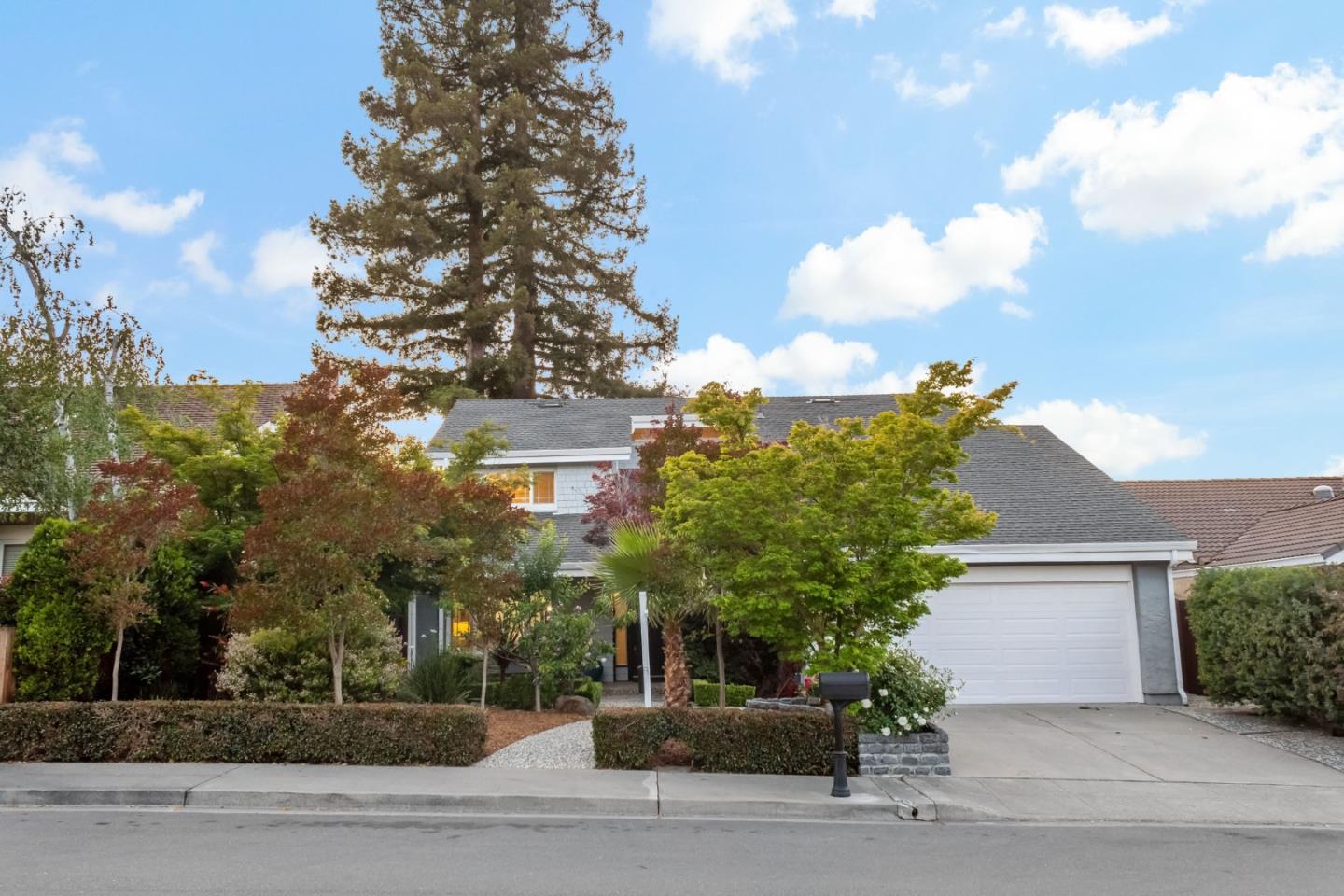 Detail Gallery Image 1 of 46 For 1830 Idyllwild Ave, Redwood City,  CA 94061 - 4 Beds | 2/1 Baths