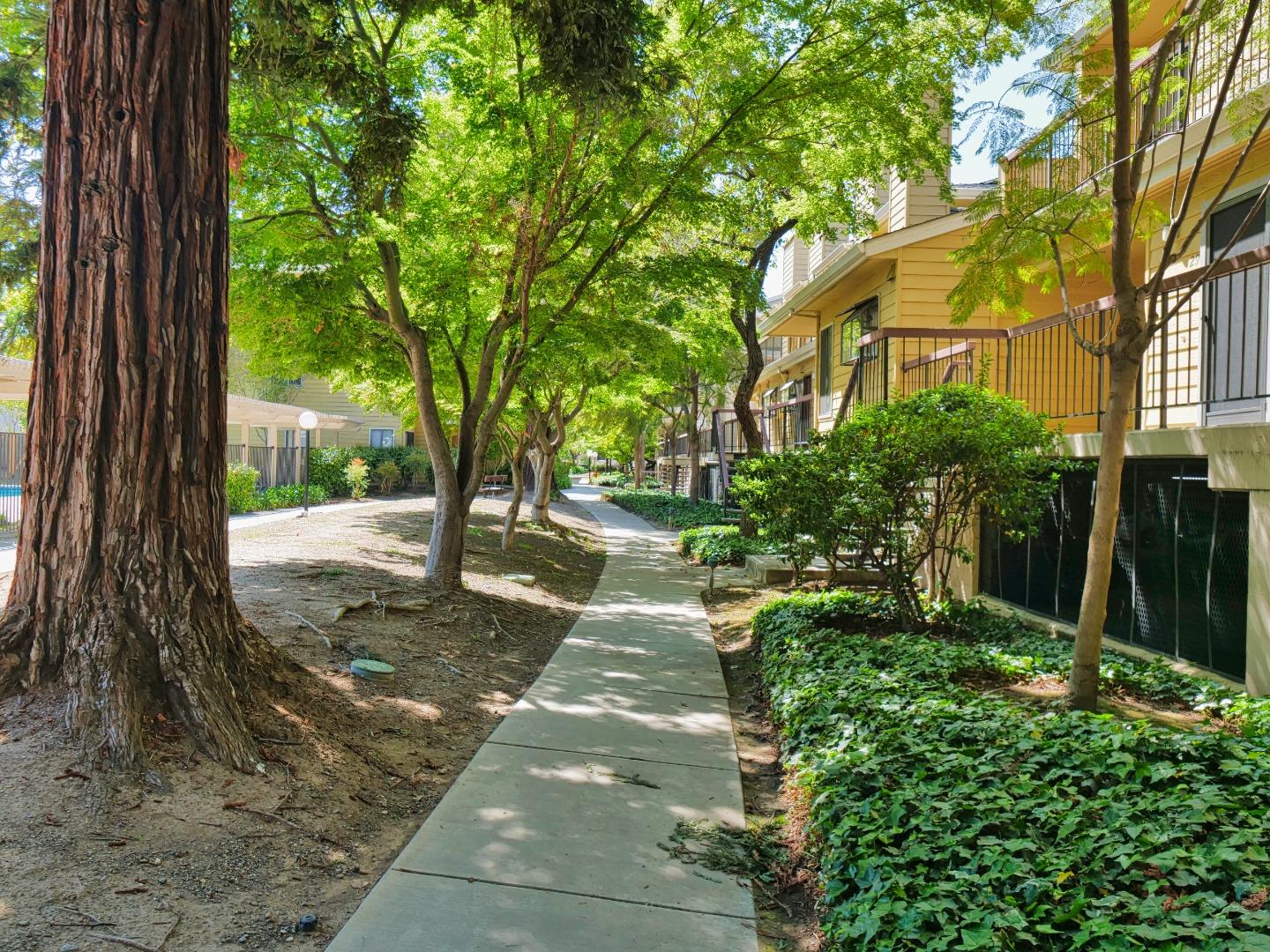 Detail Gallery Image 34 of 74 For 471 Northlake Dr #47,  San Jose,  CA 95117 - 1 Beds | 1 Baths