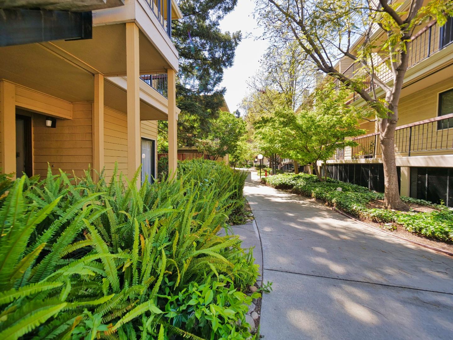 Detail Gallery Image 45 of 74 For 471 Northlake Dr #47,  San Jose,  CA 95117 - 1 Beds | 1 Baths