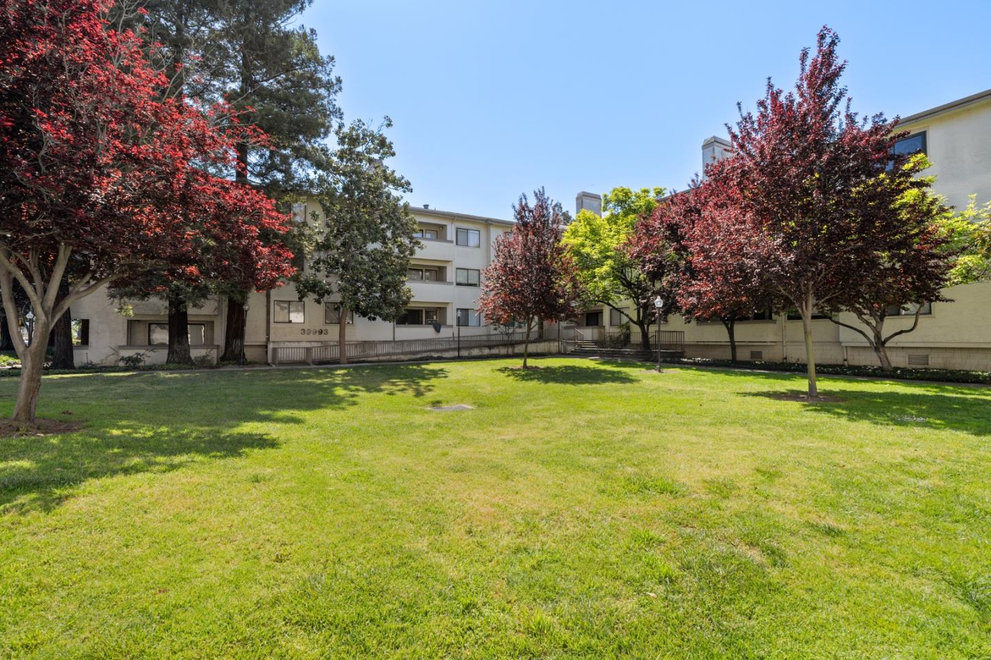 Detail Gallery Image 38 of 68 For 39993 Fremont Blvd #310,  Fremont,  CA 94538 - 2 Beds | 2 Baths