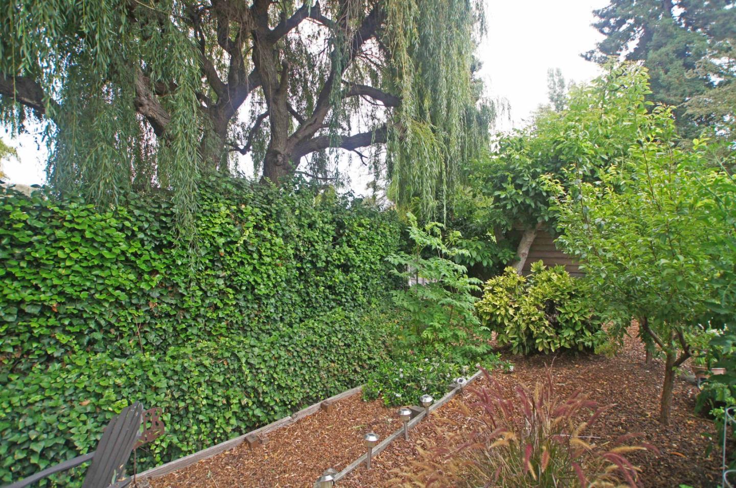 Detail Gallery Image 23 of 24 For 1138 Laurel St, Santa Cruz,  CA 95060 - – Beds | – Baths