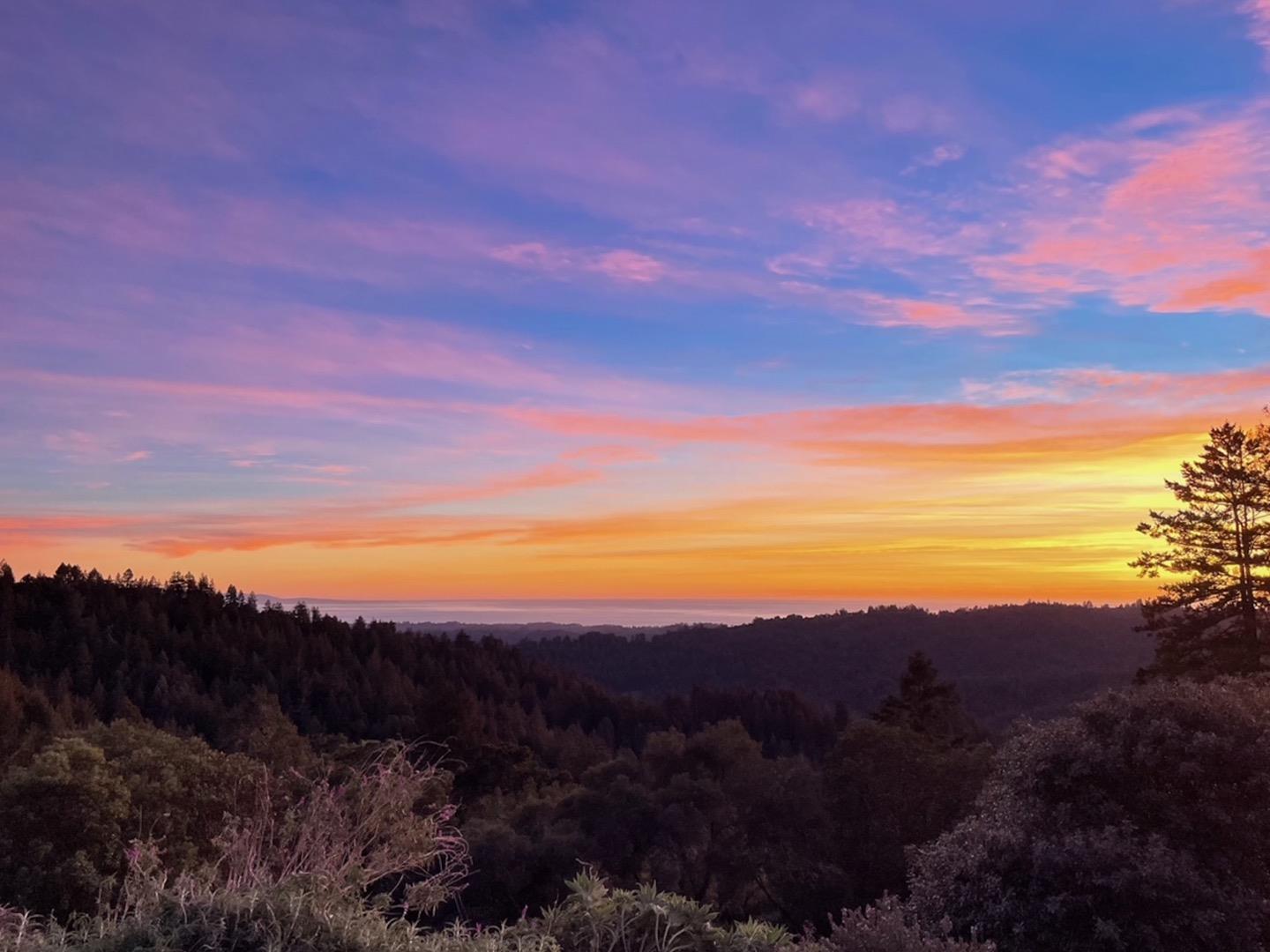 Detail Gallery Image 58 of 105 For 1584 Tindall Ranch Rd, Corralitos,  CA 95076 - 2 Beds | 1/1 Baths