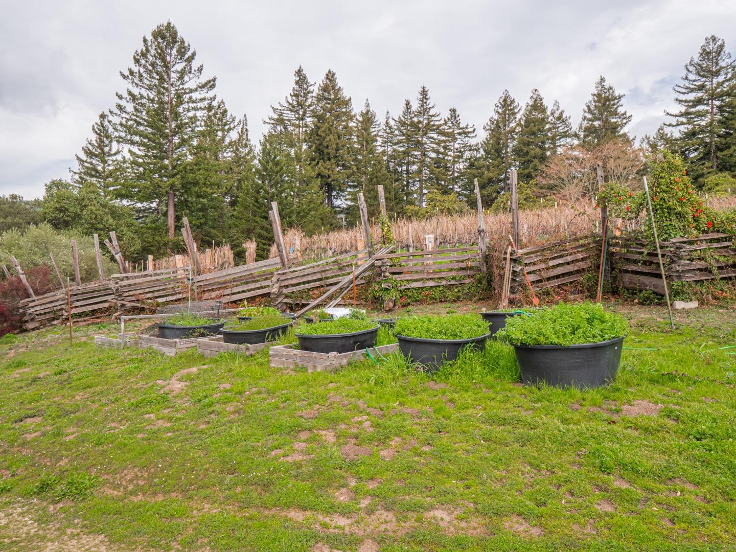 Detail Gallery Image 98 of 105 For 1584 Tindall Ranch Rd, Corralitos,  CA 95076 - 2 Beds | 1/1 Baths