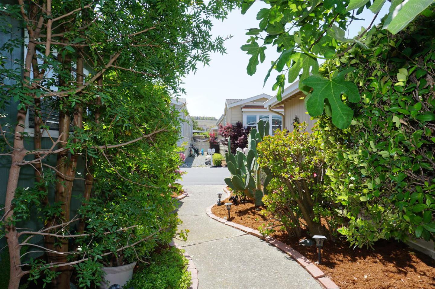 Detail Gallery Image 3 of 29 For 430 Chateau La Salle Dr #430,  San Jose,  CA 95111 - 2 Beds | 3 Baths