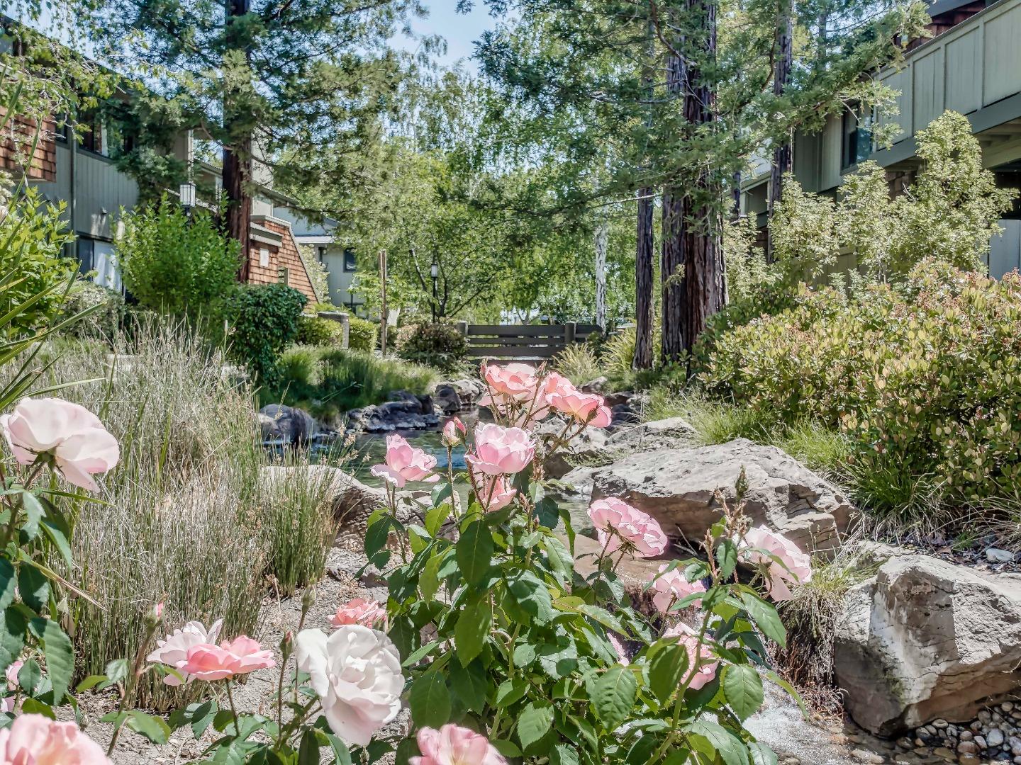 Detail Gallery Image 21 of 25 For 2202 La Terrace Cir, San Jose,  CA 95123 - 2 Beds | 1 Baths