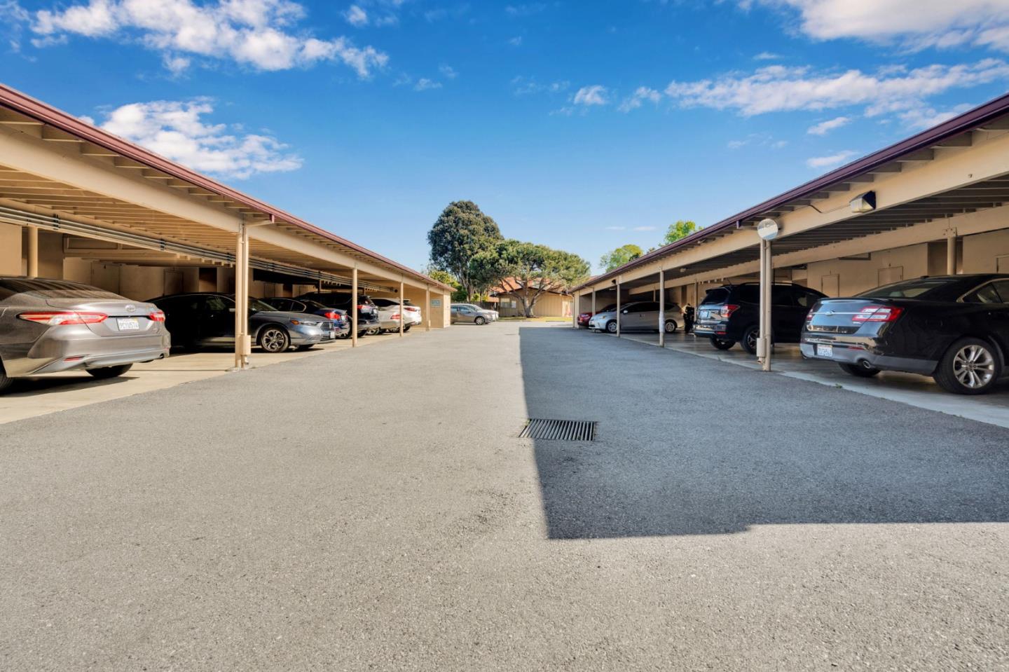 Detail Gallery Image 37 of 53 For 1518 Day Ave a,  San Mateo,  CA 94403 - 3 Beds | 1 Baths