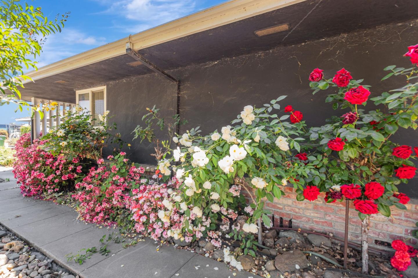Detail Gallery Image 42 of 48 For 14205 Sycamore Ave, San Martin,  CA 95046 - 4 Beds | 1/1 Baths