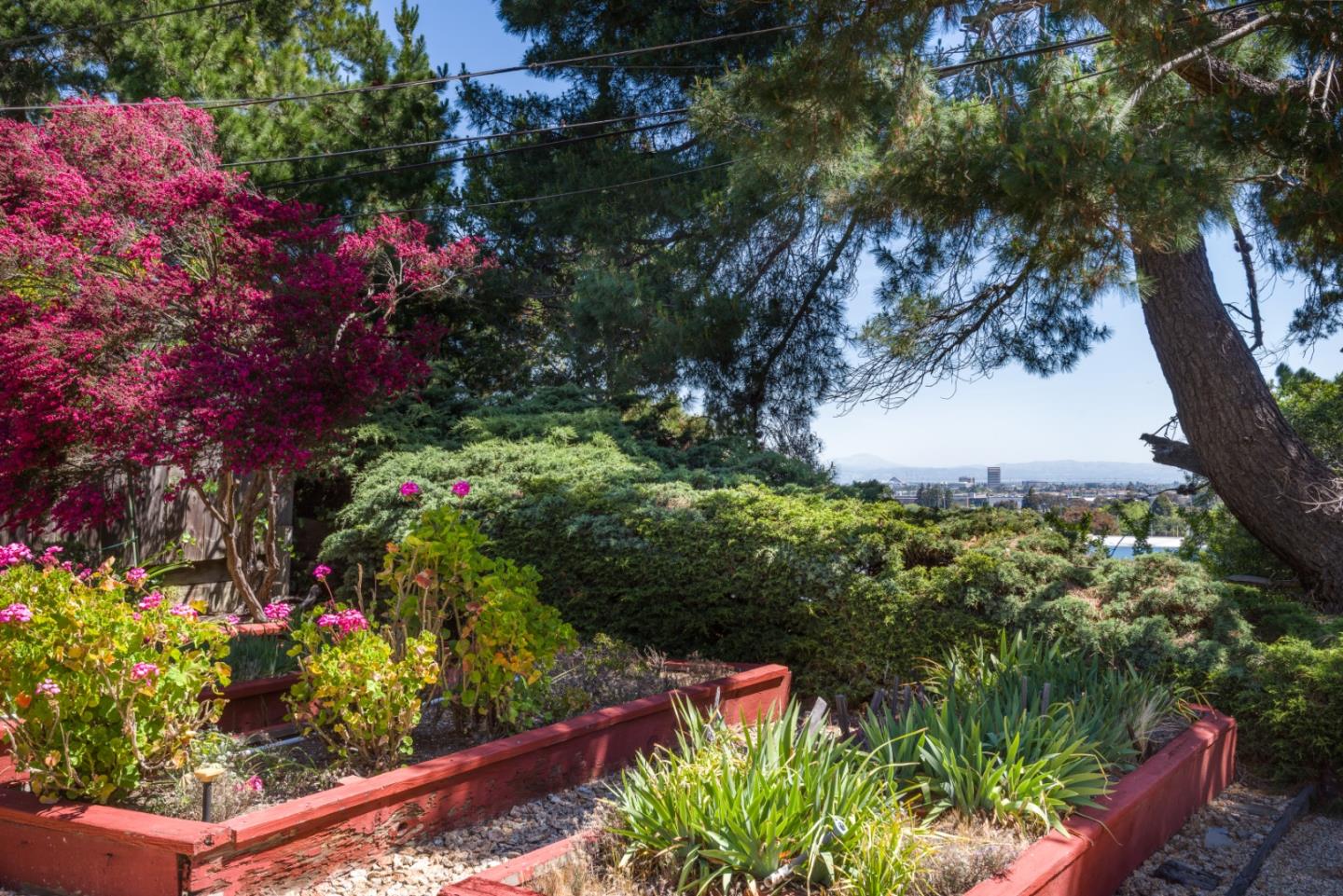 Detail Gallery Image 15 of 16 For 3223 Monterey St, San Mateo,  CA 94403 - 3 Beds | 1/1 Baths