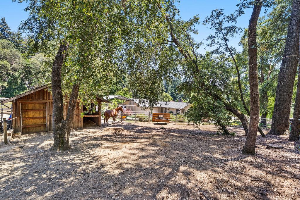 Detail Gallery Image 27 of 38 For 50 Nichols Dr, Santa Cruz,  CA 95060 - 3 Beds | 2 Baths