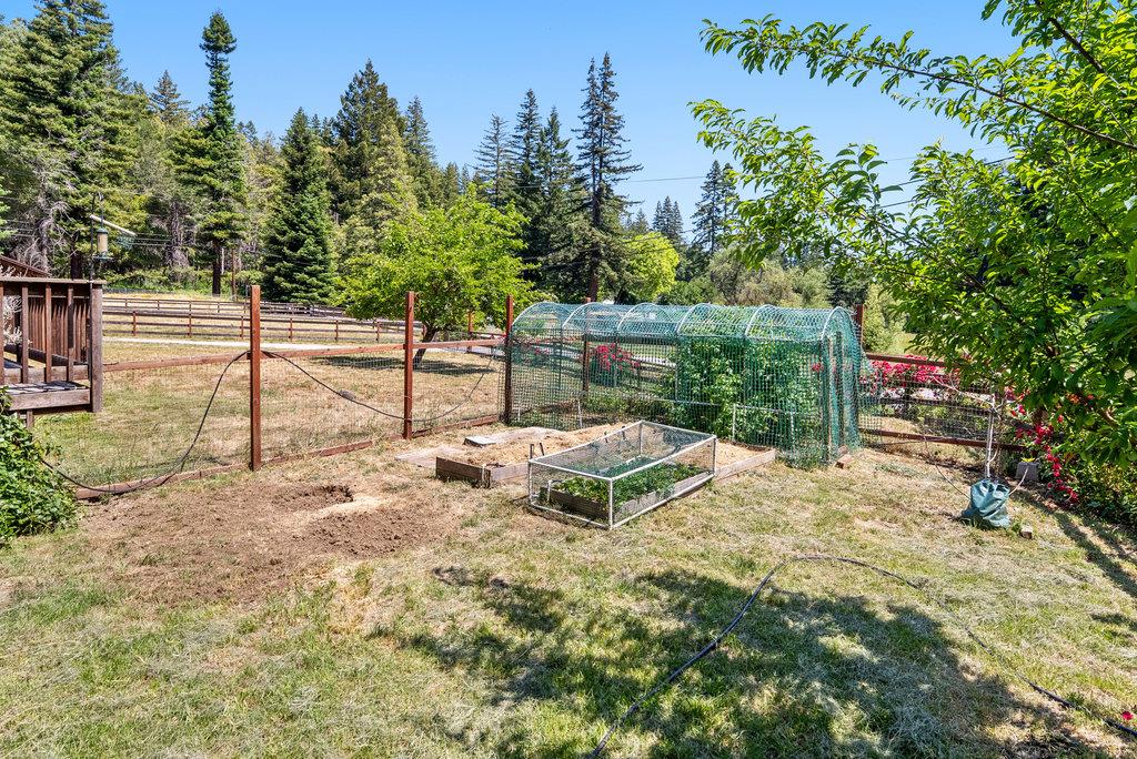 Detail Gallery Image 28 of 38 For 50 Nichols Dr, Santa Cruz,  CA 95060 - 3 Beds | 2 Baths