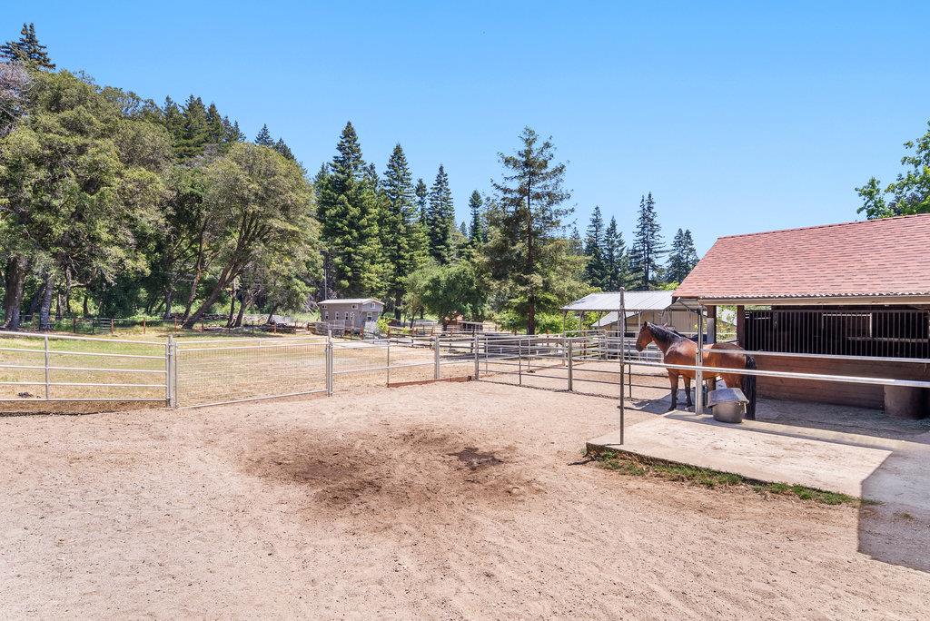 Detail Gallery Image 4 of 38 For 50 Nichols Dr, Santa Cruz,  CA 95060 - 3 Beds | 2 Baths