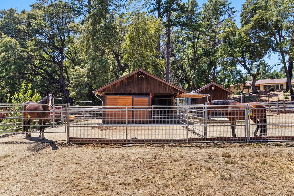 Detail Gallery Image 7 of 38 For 50 Nichols Dr, Santa Cruz,  CA 95060 - 3 Beds | 2 Baths