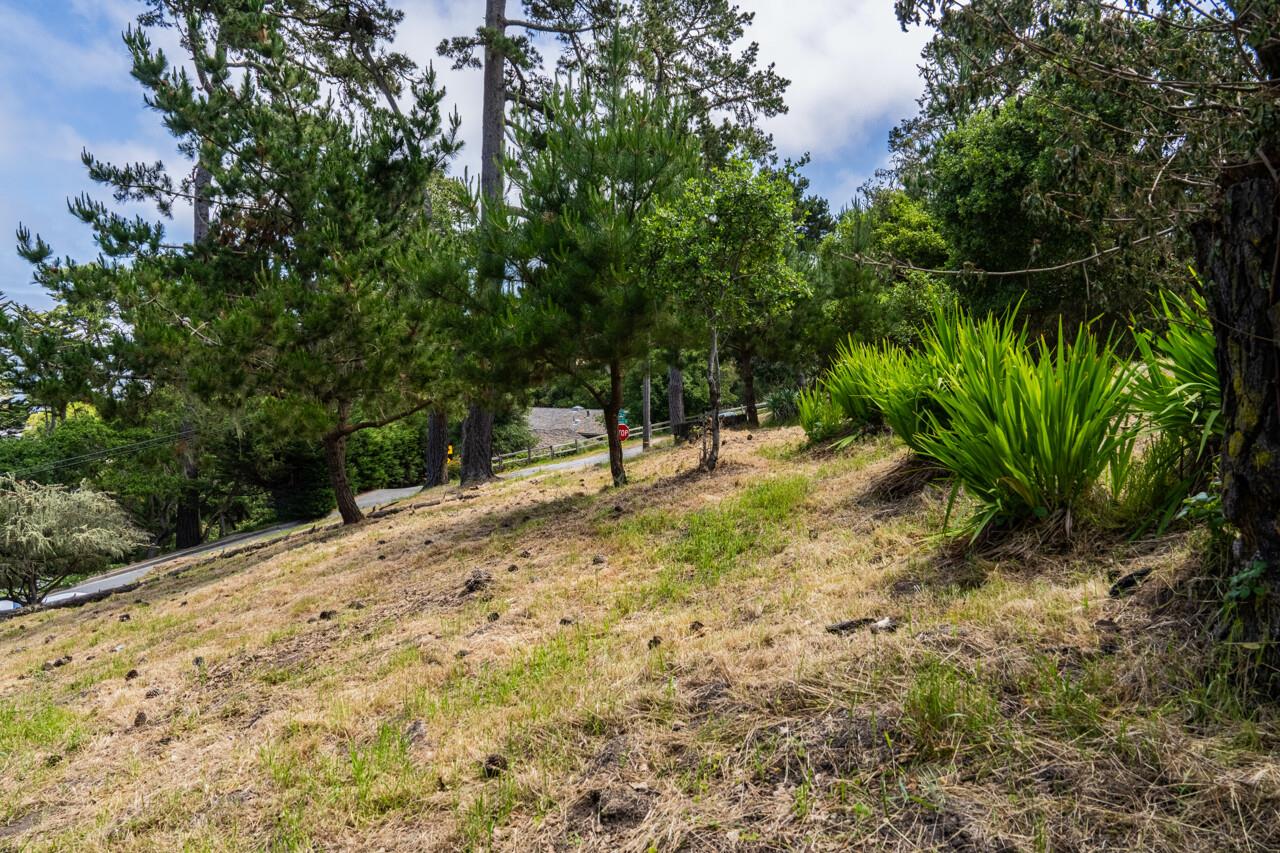 Detail Gallery Image 4 of 7 For 801 Lyndon St, Monterey,  CA 93940 - – Beds | – Baths