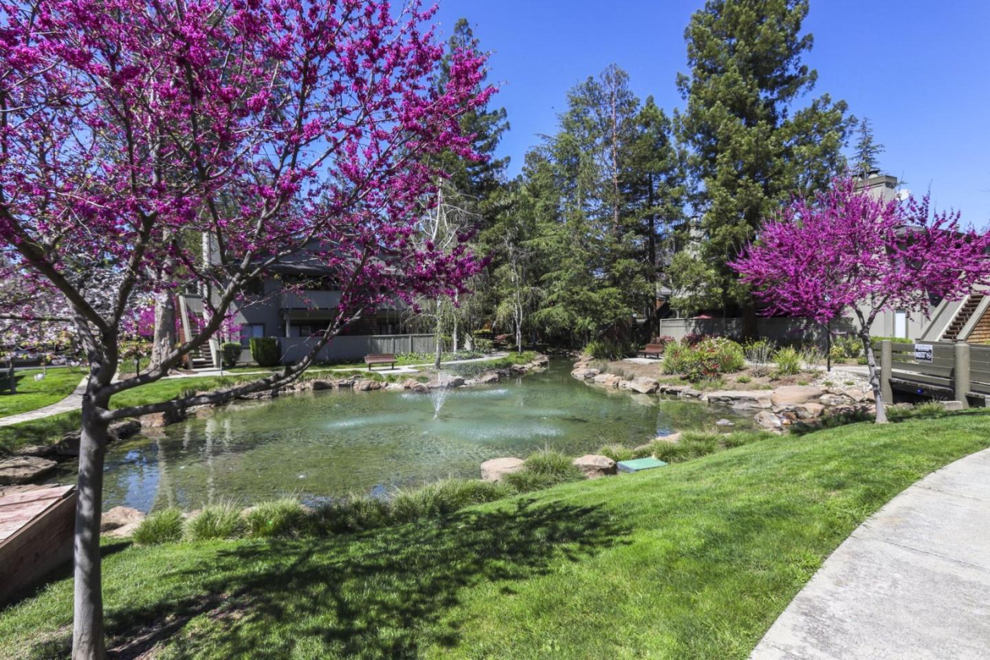 Detail Gallery Image 45 of 49 For 3500 La Terrace Cir, San Jose,  CA 95123 - 2 Beds | 2 Baths
