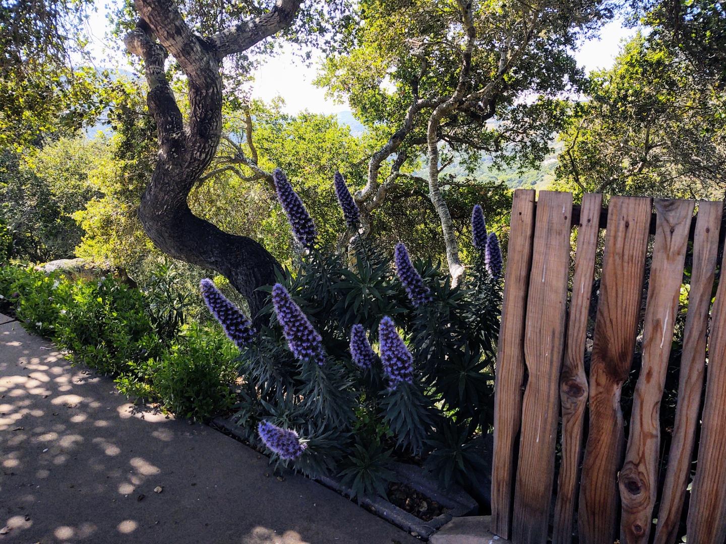 Detail Gallery Image 24 of 31 For 13399 Middle Canyon Rd, Carmel Valley,  CA 93924 - 3 Beds | 3 Baths