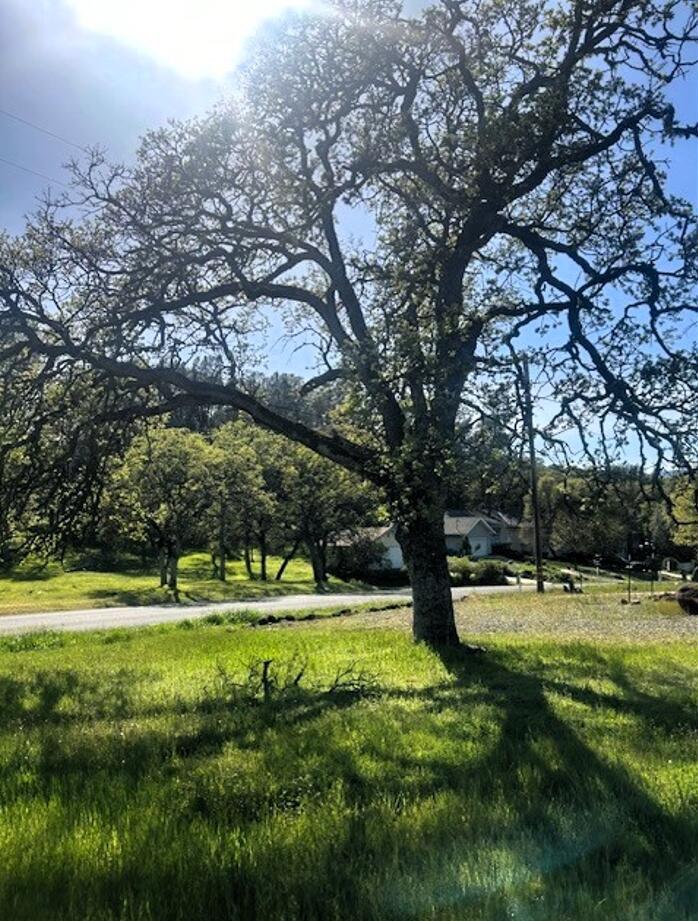 Detail Gallery Image 8 of 10 For 19630 Donkey Hill Rd, Hidden Valley Lake,  CA 95467 - – Beds | – Baths