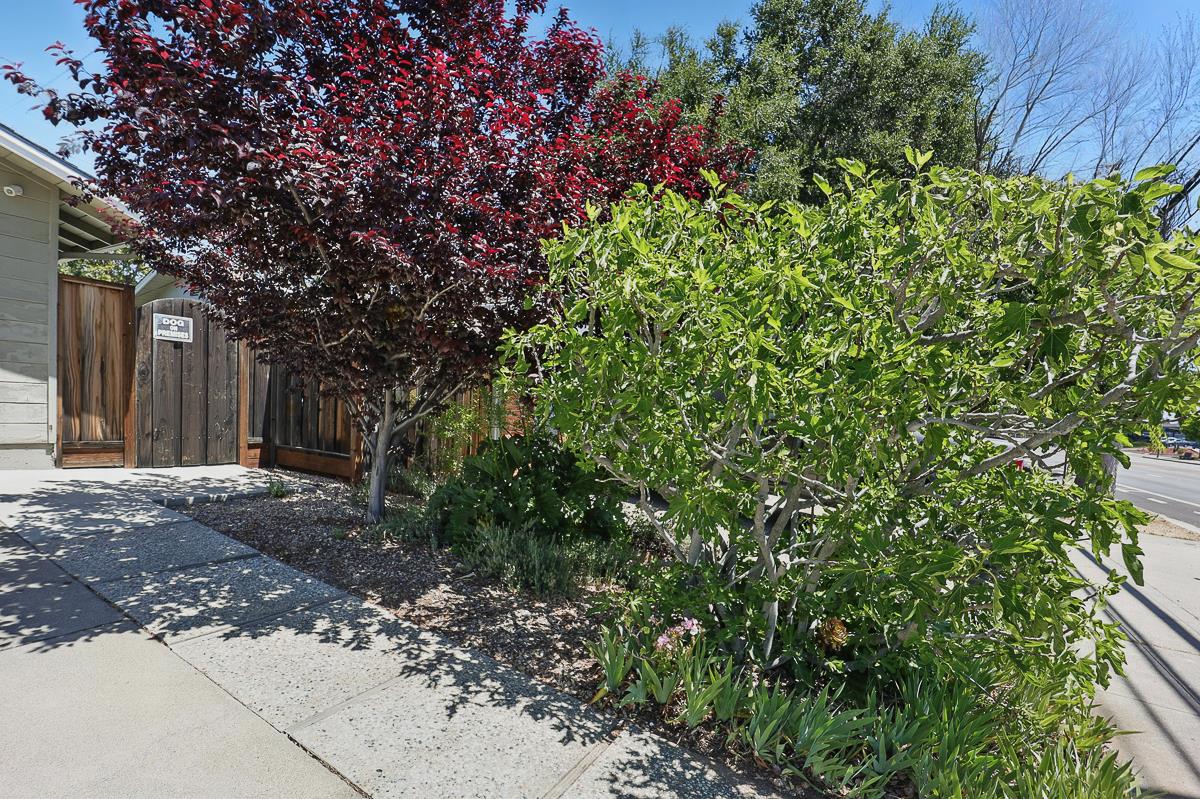 Detail Gallery Image 17 of 71 For 867 W Homestead Rd, Sunnyvale,  CA 94087 - 4 Beds | 2 Baths