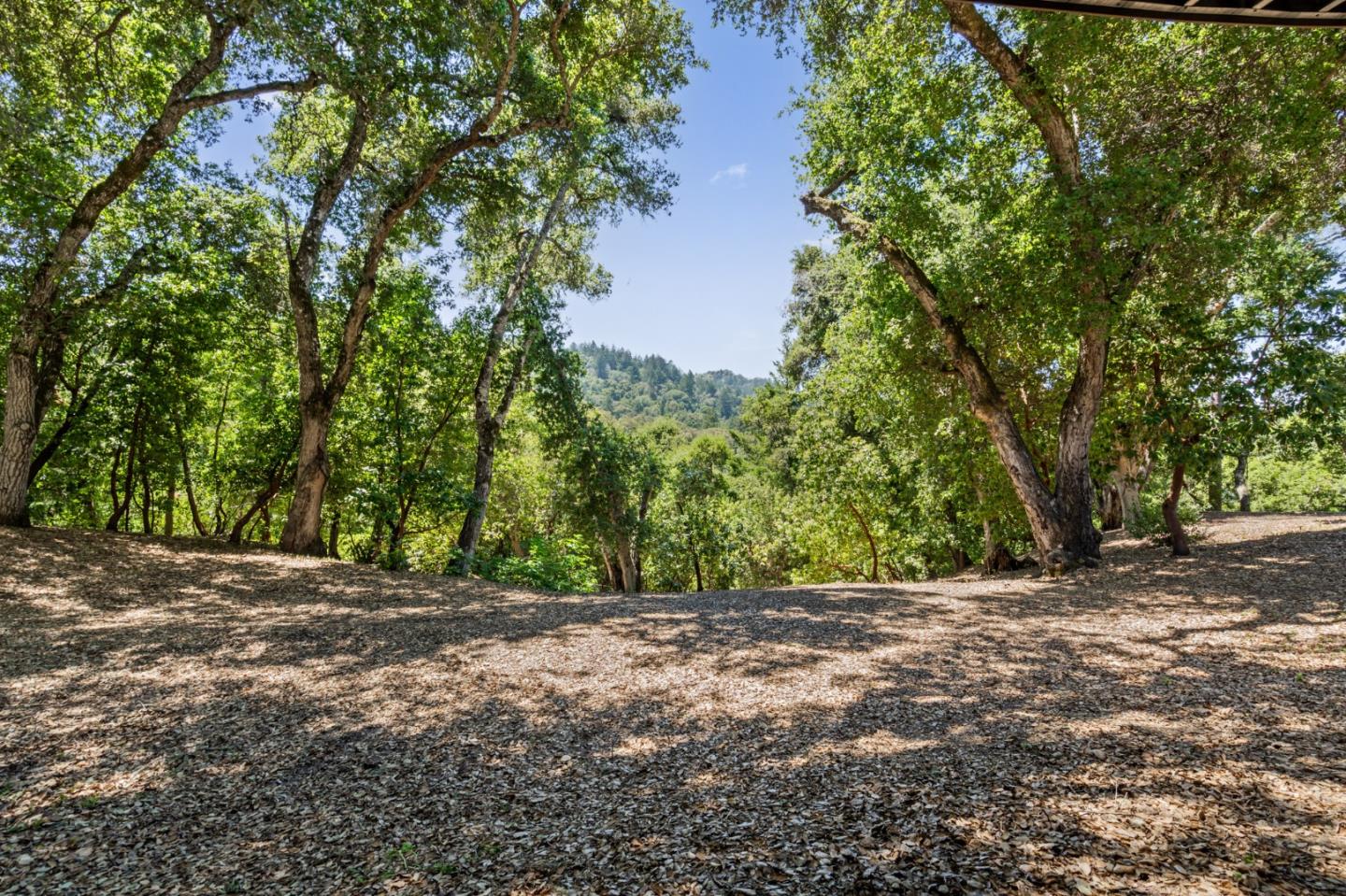 Detail Gallery Image 38 of 42 For 55 Vista Verde Way, Portola Valley,  CA 94028 - 3 Beds | 3/2 Baths