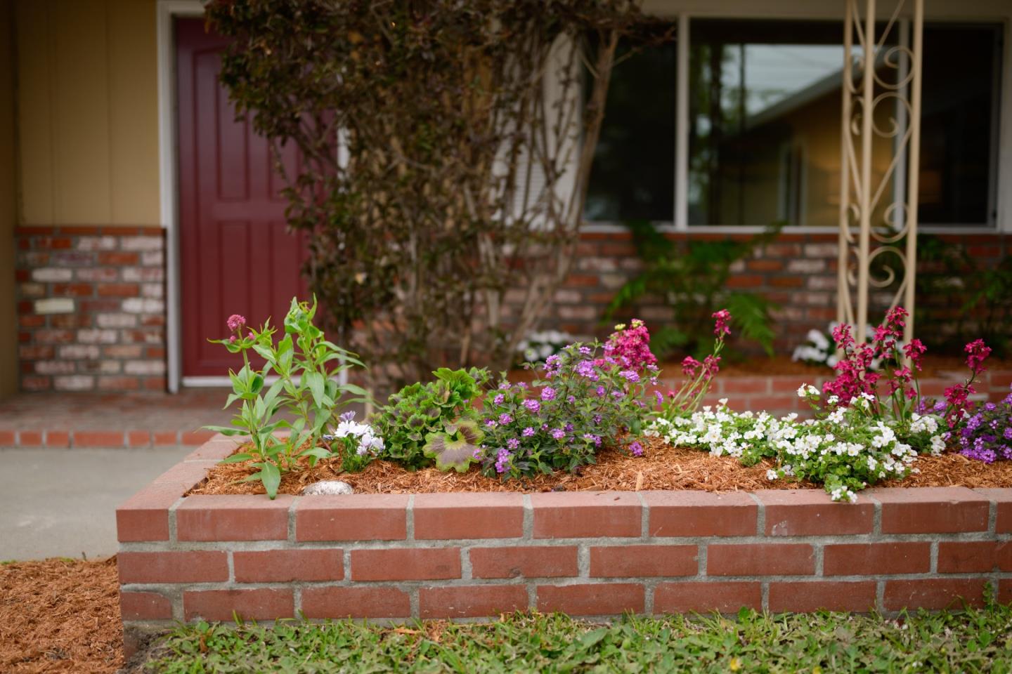 Detail Gallery Image 5 of 95 For 985 32nd Ave, Santa Cruz,  CA 95062 - 3 Beds | 3/1 Baths