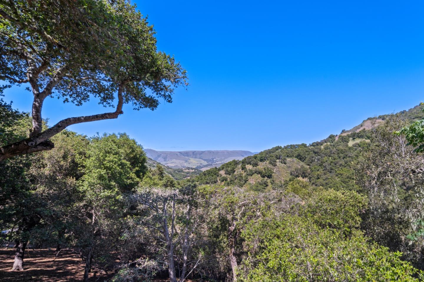Detail Gallery Image 18 of 26 For 14310 Hitchcock Rd, Carmel Valley,  CA 93924 - 2 Beds | 2 Baths
