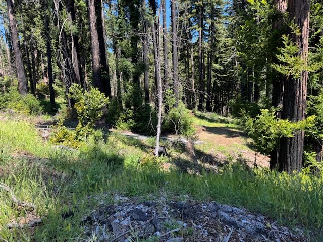 Detail Gallery Image 12 of 14 For 720 Pinecrest Dr, Boulder Creek,  CA 95006 - – Beds | – Baths