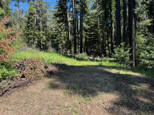 Detail Gallery Image 6 of 14 For 720 Pinecrest Dr, Boulder Creek,  CA 95006 - – Beds | – Baths