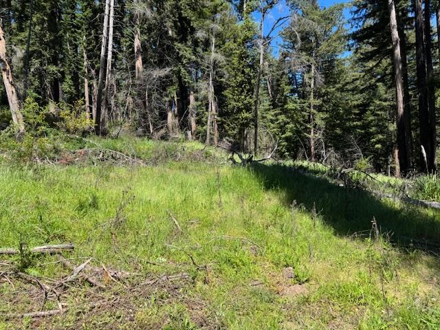 Detail Gallery Image 7 of 14 For 720 Pinecrest Dr, Boulder Creek,  CA 95006 - – Beds | – Baths