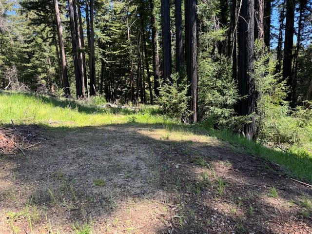 Detail Gallery Image 9 of 14 For 720 Pinecrest Dr, Boulder Creek,  CA 95006 - – Beds | – Baths