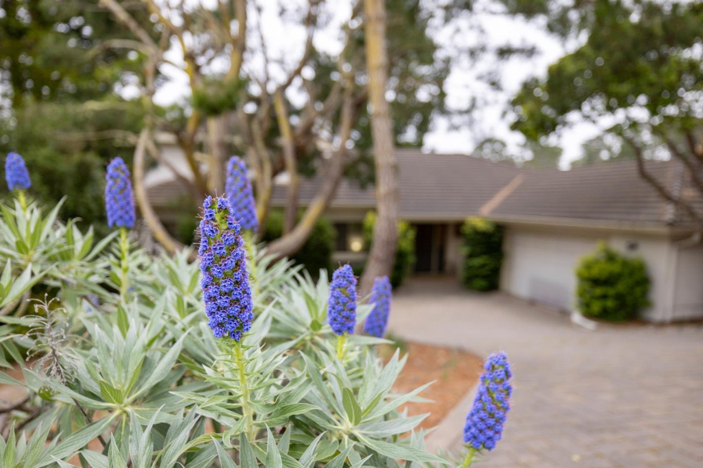 Detail Gallery Image 25 of 25 For 23 Cramden Dr, Monterey,  CA 93940 - 4 Beds | 3/1 Baths