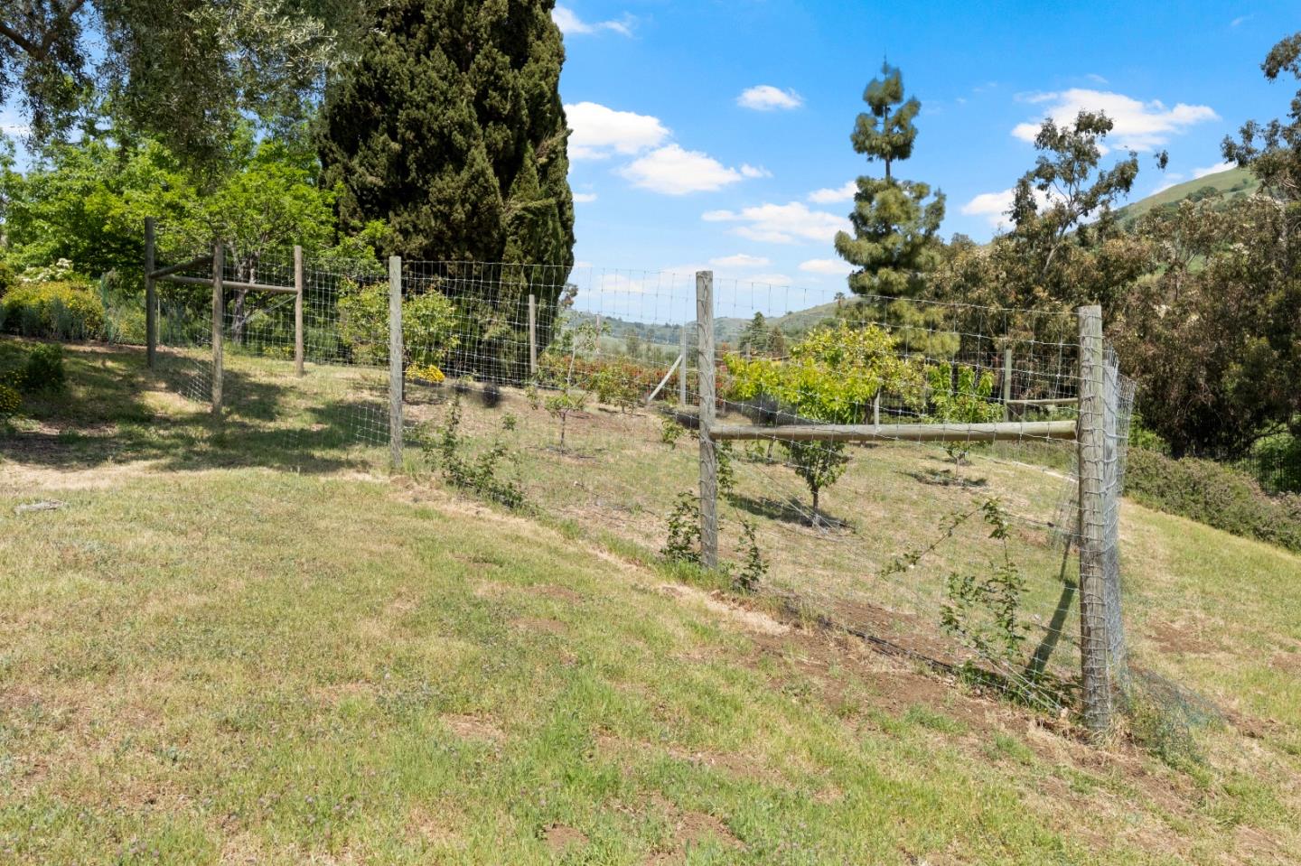 Detail Gallery Image 66 of 81 For 17009 Crothers Rd, San Jose,  CA 95127 - 5 Beds | 3/1 Baths