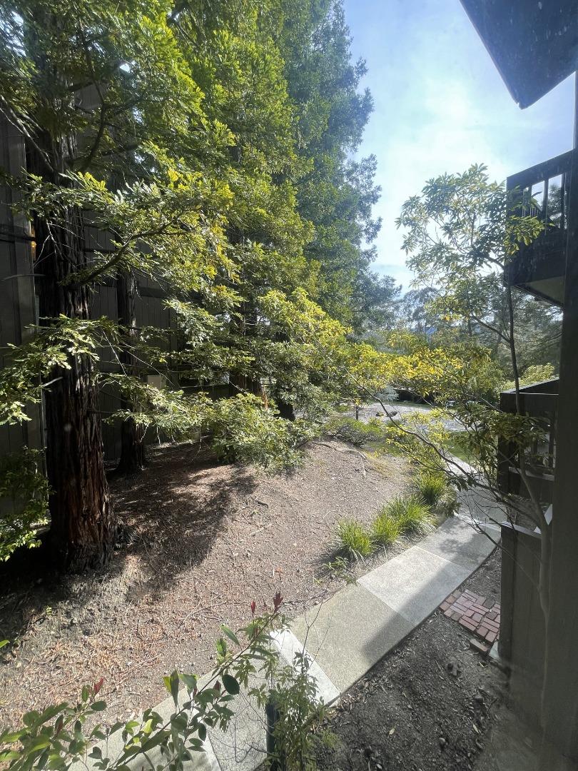 Detail Gallery Image 6 of 26 For 3316 Brittan Ave #12,  San Carlos,  CA 94070 - 3 Beds | 2 Baths